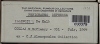 Image Associated With the Occurence